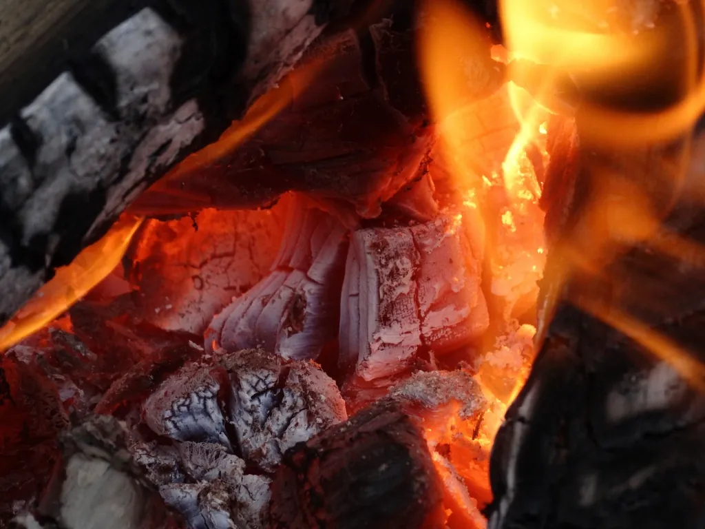 Brasa viva de leña en la parrilla